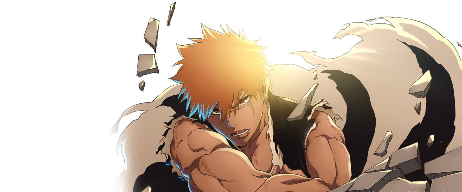 Bleach: Thousand-Year Blood War - The Calamity