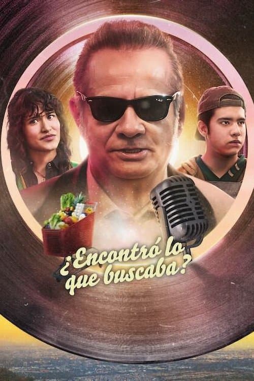 Póster de ¿Encontró lo que buscaba?