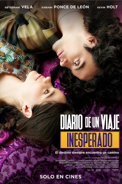 Póster de Diario de un viaje inesperado