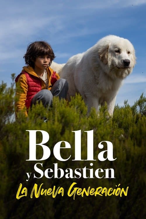 Póster de Belle y Sebastián: La nueva generación