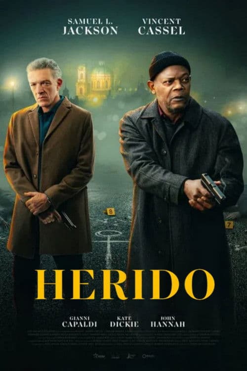 Póster de Damaged - Herido