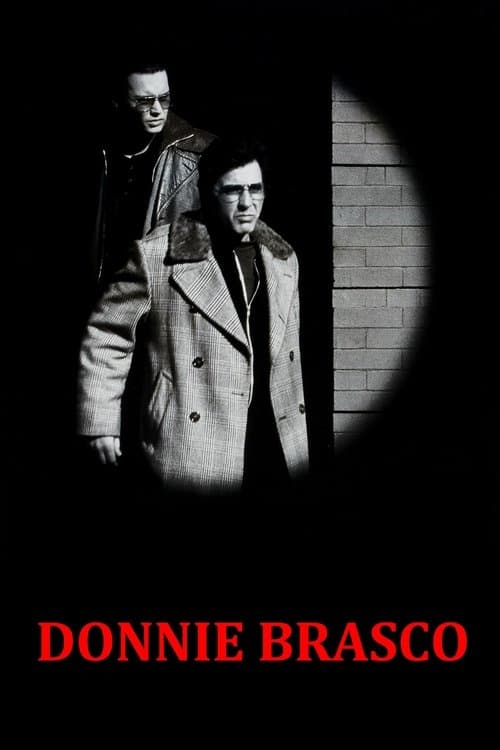 Póster de Donnie Brasco