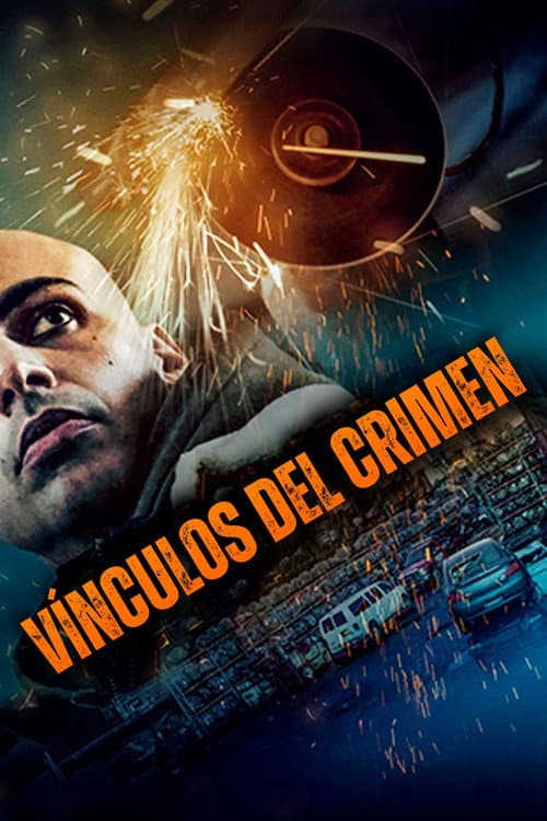 Póster de The Scrapper
