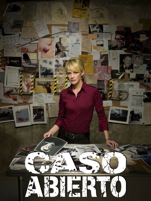 Póster de Cold Case