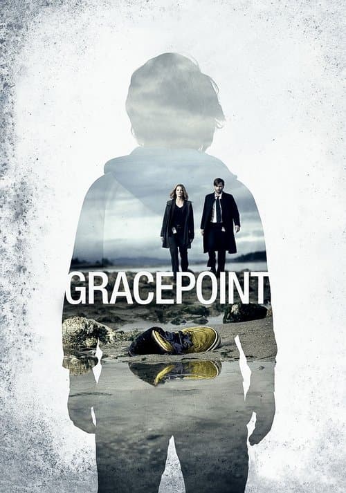 Póster de Gracepoint