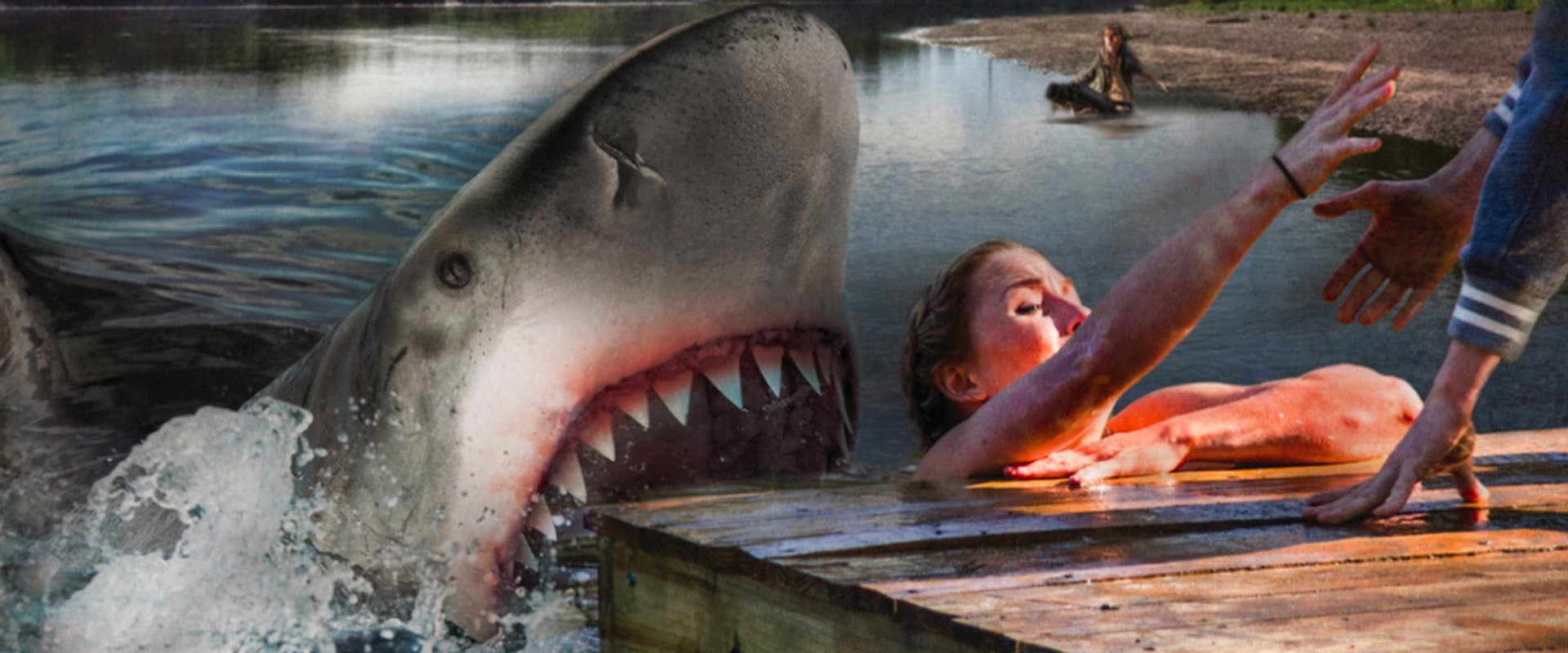 Summer shark attack
