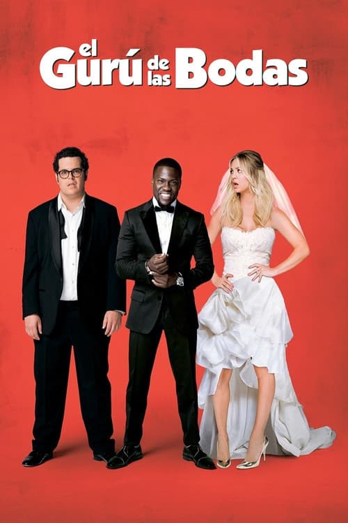 Póster de El gurú de las bodas