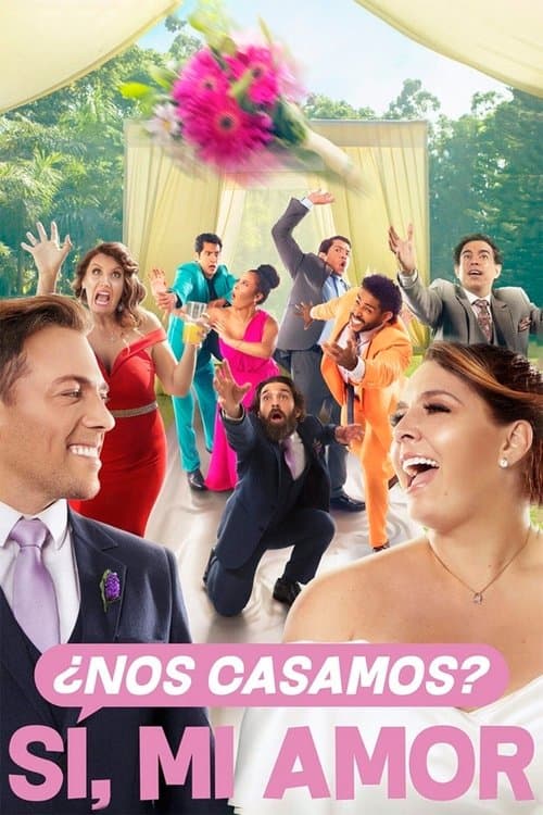 Póster de ¿Nos casamos? Sí, mi amor