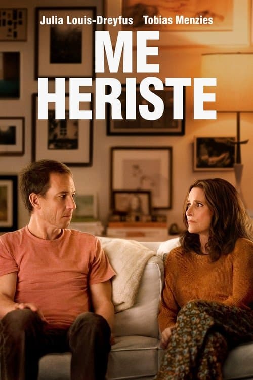 Póster de You hurt my feelings
