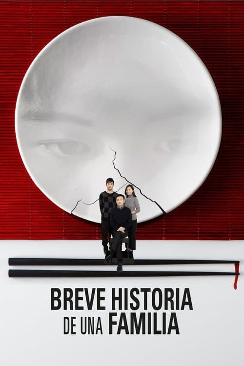 Póster de Breve historia de una familia