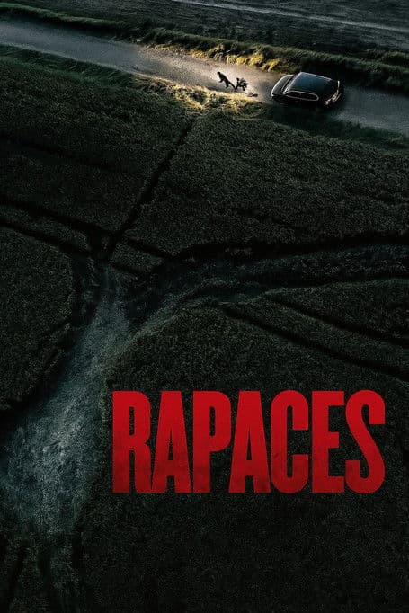 Póster de Rapaces
