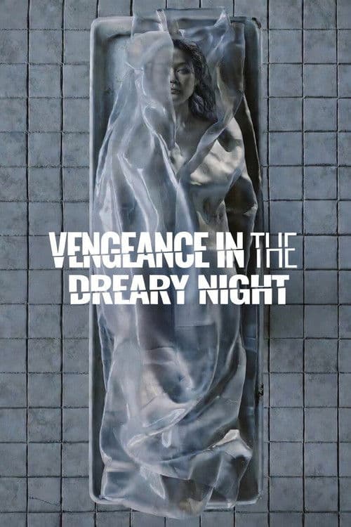 Póster de Vengeance in the Dreary Night