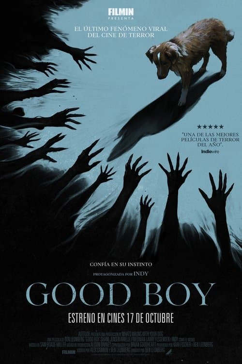 Póster de Good Boy