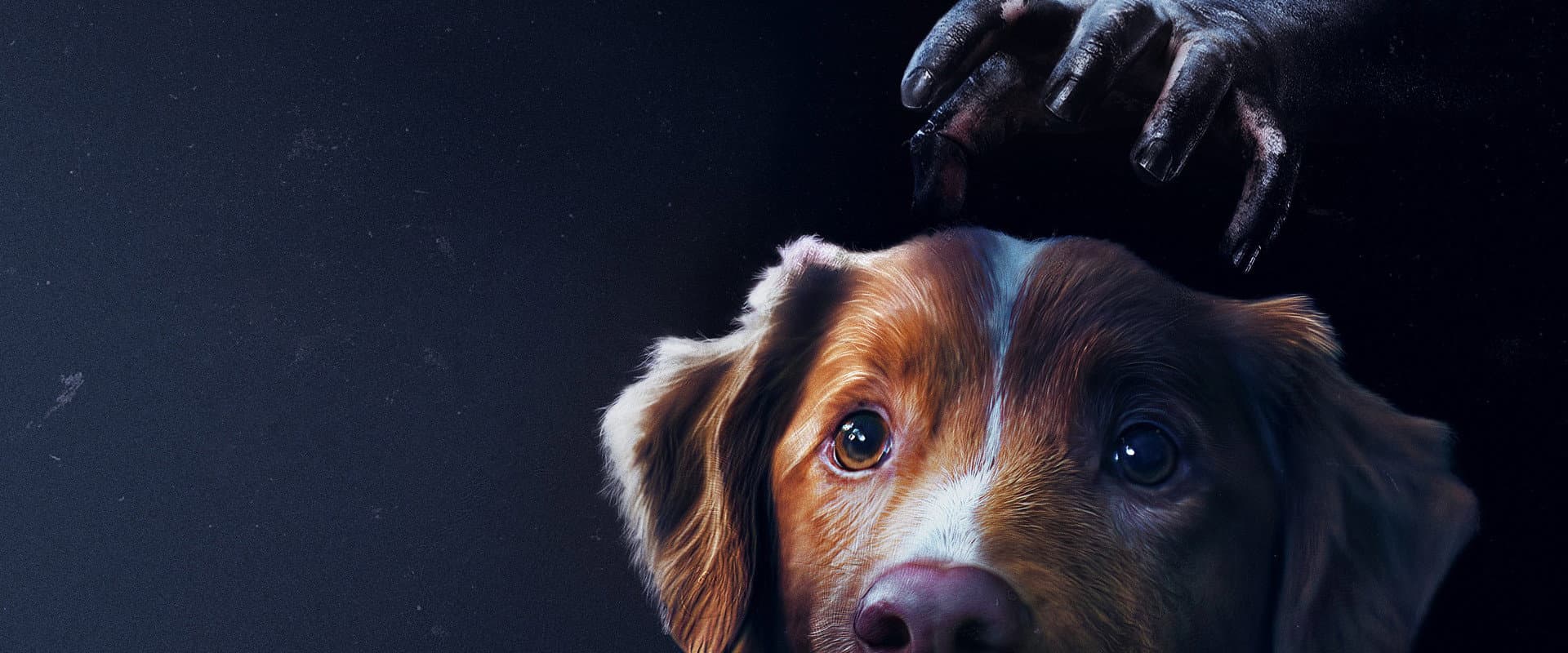 Good Boy