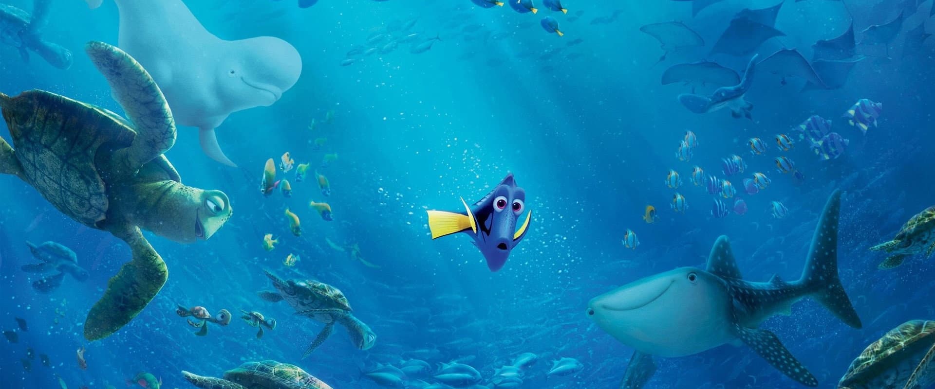 Buscando a Dory