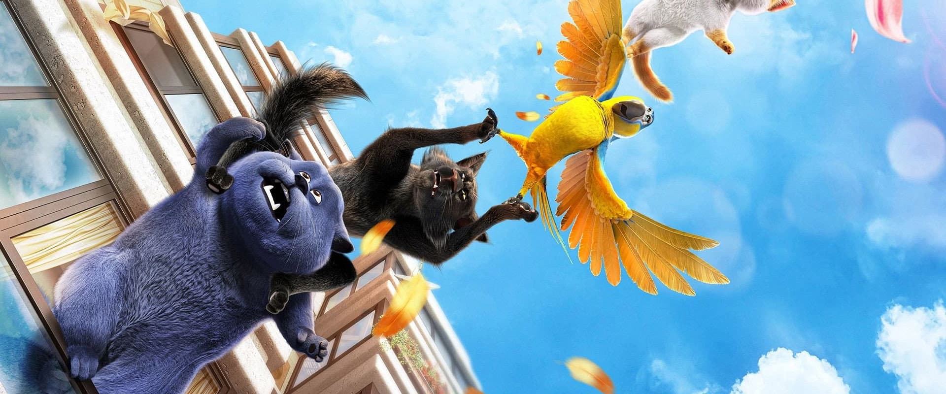 Gatos - Las Aventuras De Tommy