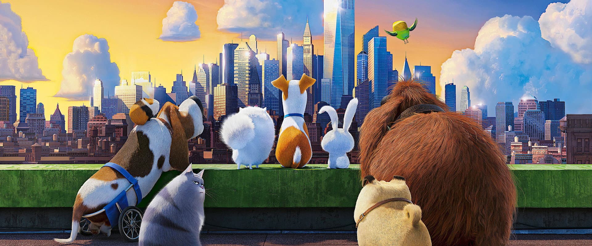 The Secret Life of Pets 1 - Mascotas