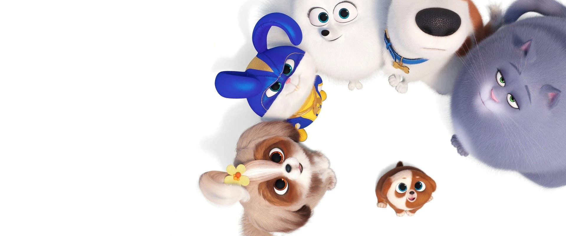 The Secret Life of Pets 2 - Mascotas 