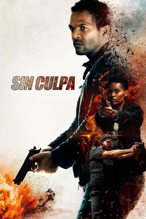 Póster de Sin Culpa - Indemnity