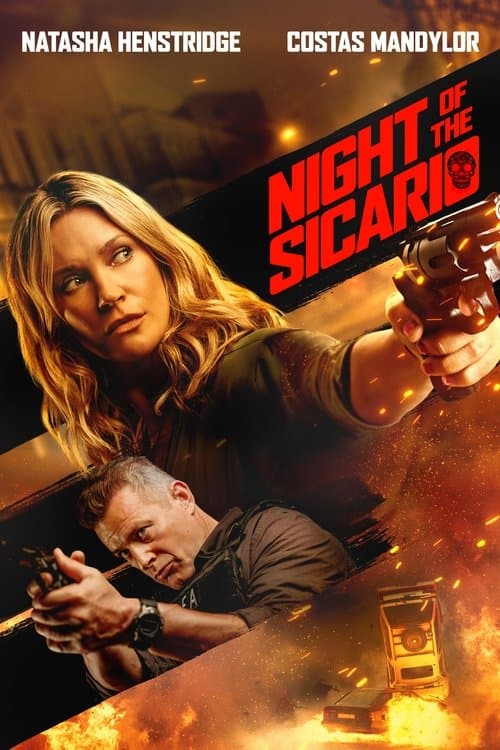Póster de Night of the Sicario