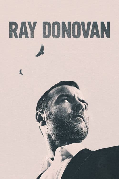 Póster de Ray Donovan - La pelIcula