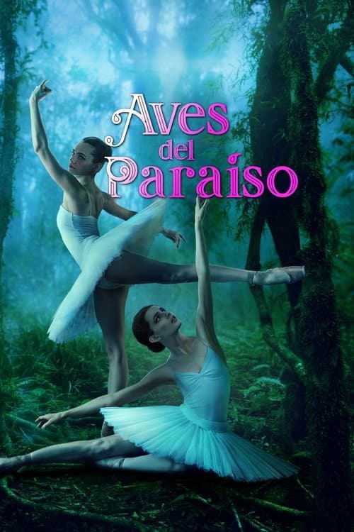 Póster de Birds Of Paradise - Aves del paraIso