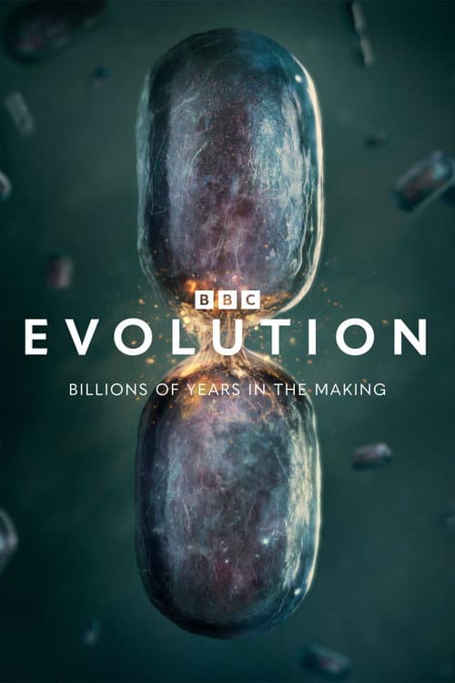 Póster de Evolution