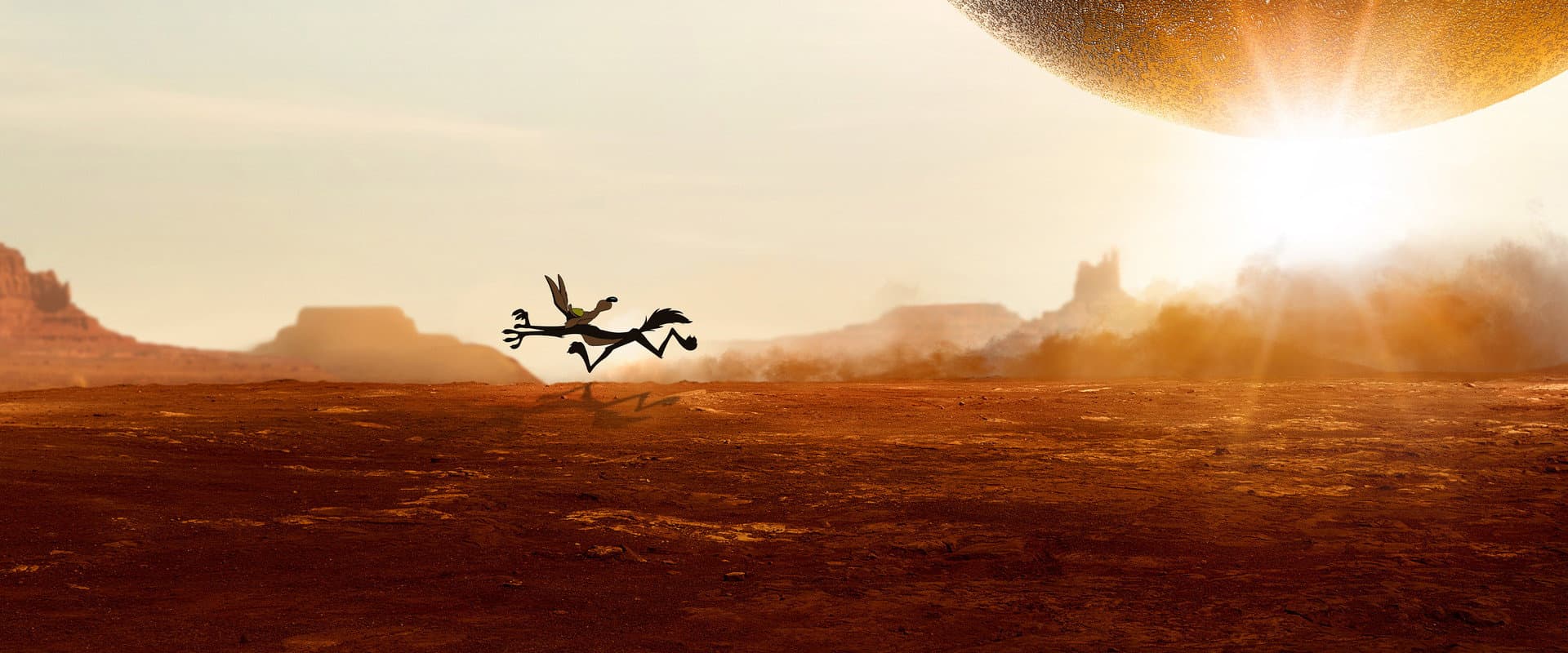 Coyote vs. Acme